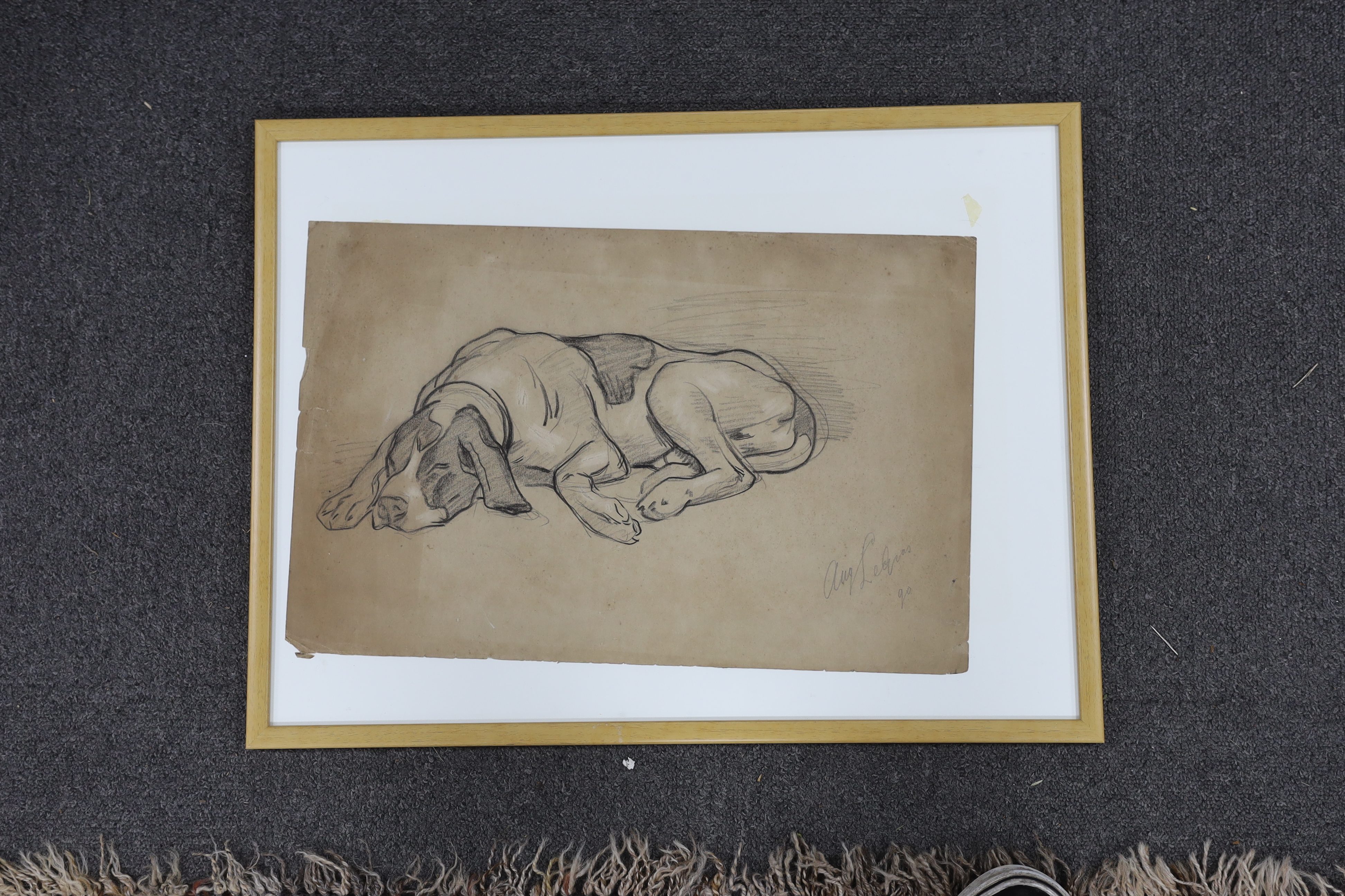 August Johannes Le Gras (Dutch, 1864-1915), heightened charcoal, Study of a dog, signed, details verso, 29 x 45cm